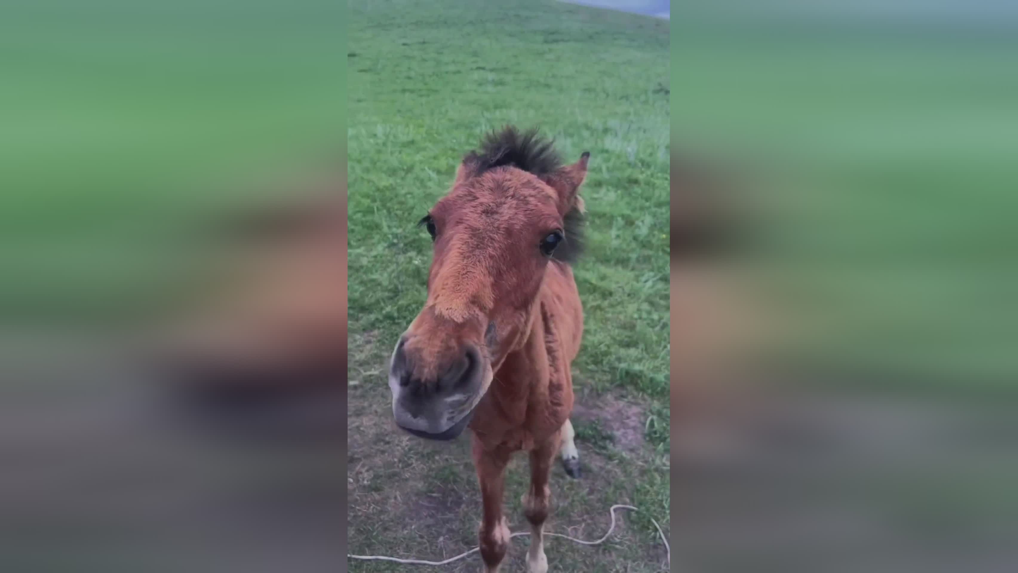 致命捕捞?从此开启一段不一般的冒险之旅,游戏将为你提供自由漫游 致命捕捞?从此开启一段不一般的冒险之旅,游戏将为你提供自由漫游