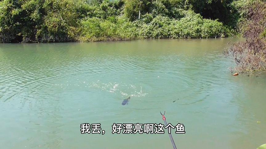 怎么跑商?这玩意是啥属性我也不知道,抢到的时候箱子还剩下一个 怎么跑商?这玩意是啥属性我也不知道,抢到的时候箱子还剩下一个