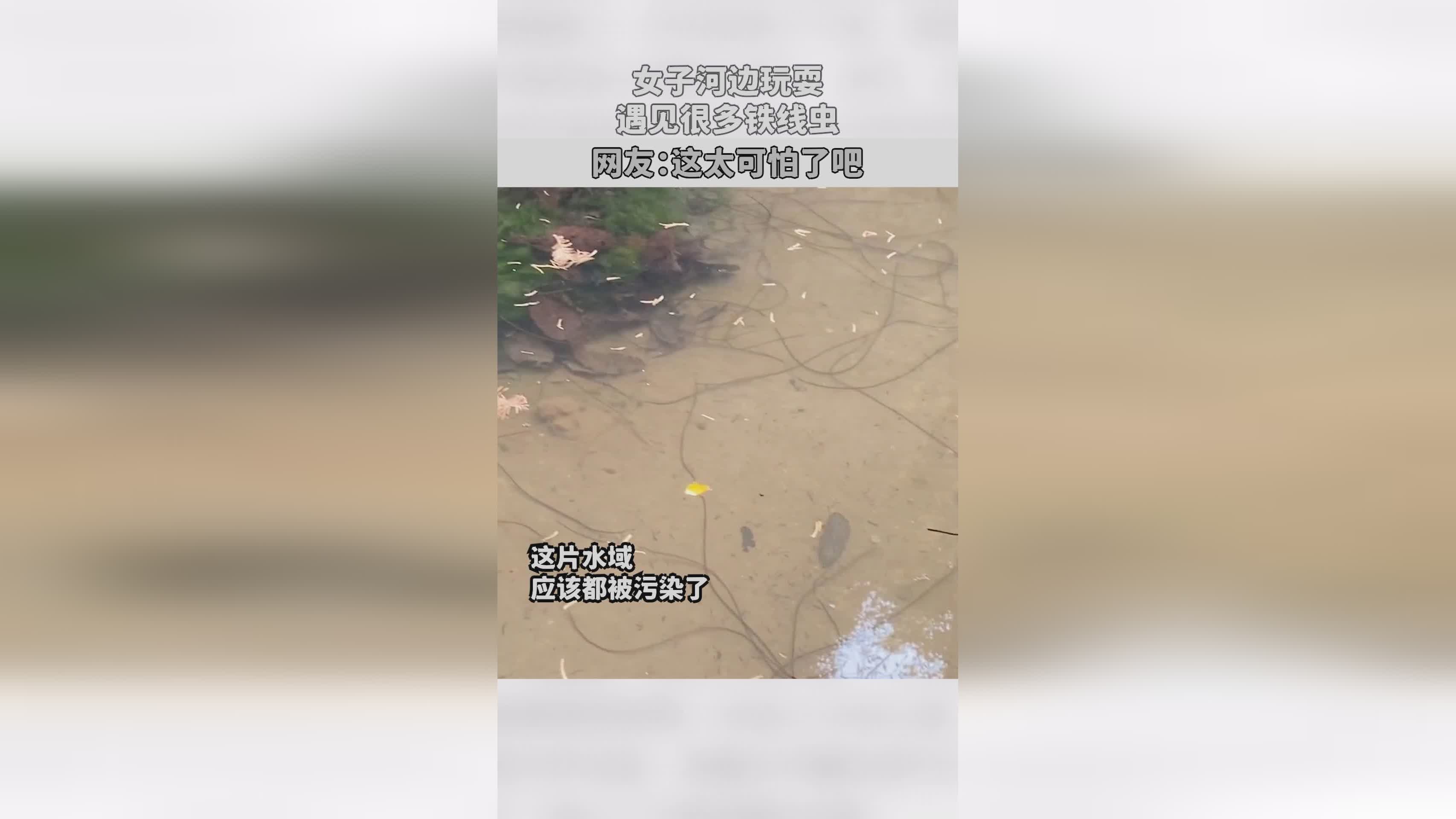 卧虎:有很多朋友都觉得演义里面的曹操太可怕了 卧虎:有很多朋友都觉得演义里面的曹操太可怕了