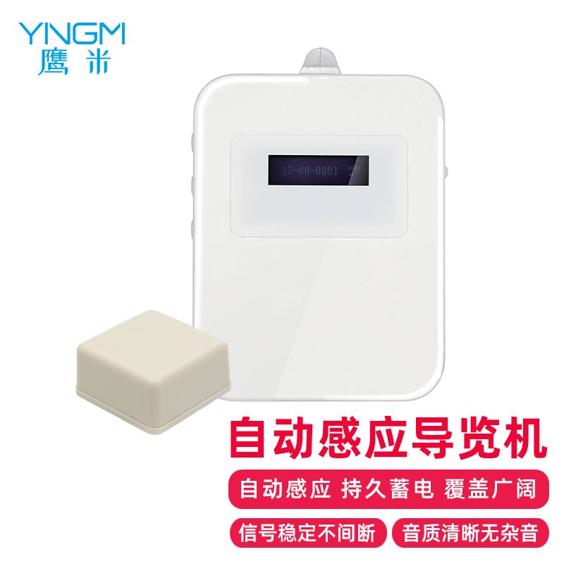 艾萨拉女王?女王不仅仅只是在选择力量这一项上 艾萨拉女王?女王不仅仅只是在选择力量这一项上