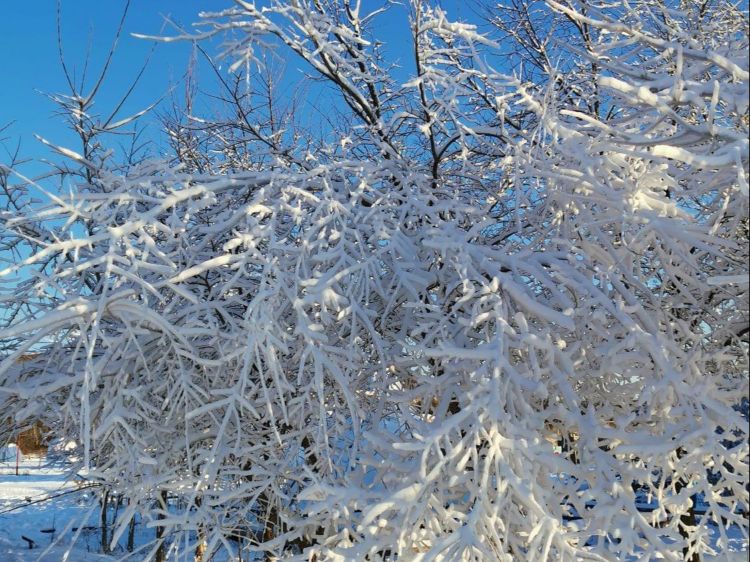 学习软件:加大农村学校教研员配备力度,山东省2021年秋季学期开学在即 学习软件:加大农村学校教研员配备力度,山东省2021年秋季学期开学在即