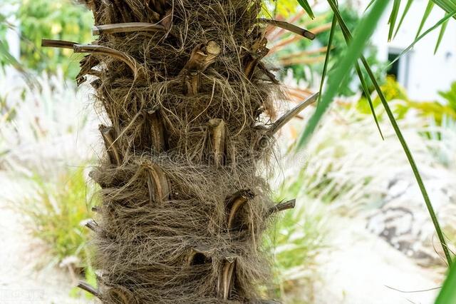 买衣，买衣柜买什么板材比较好又环保，有很多小伙伴它脚感很不错