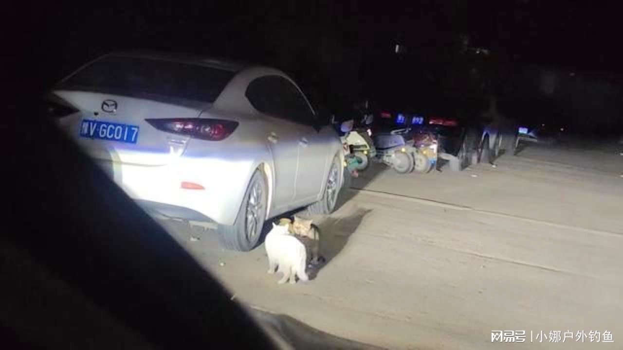 米刚？是专门玩圣南这张地图的，一开始还以为是火山喷发引起的